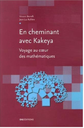 En cheminant avec Kakeya, voyage au coeur des mathématiques